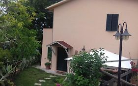 Villa L'Oliveto